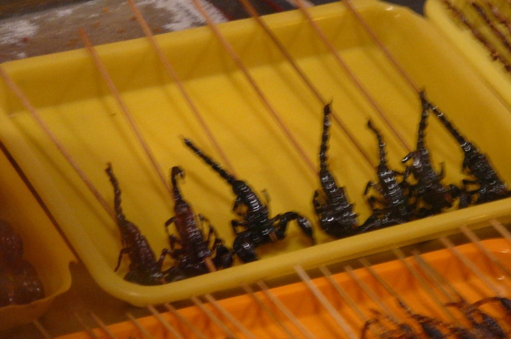 "Scorpions on a stick" in Beijing, China