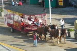 Here's a picture of a Horse-drawn trolly in Ketchikan, Alaska