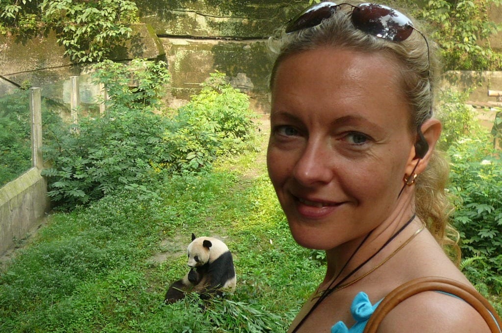 A picture of Nancy checking out a Panda Bear at the Zoo n Chongqing, China