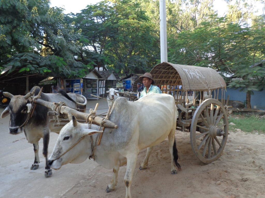 Common taxi in Myanmar as seen during our AMA Waterways River Cruise on the Irrawaddy River in Myanmar