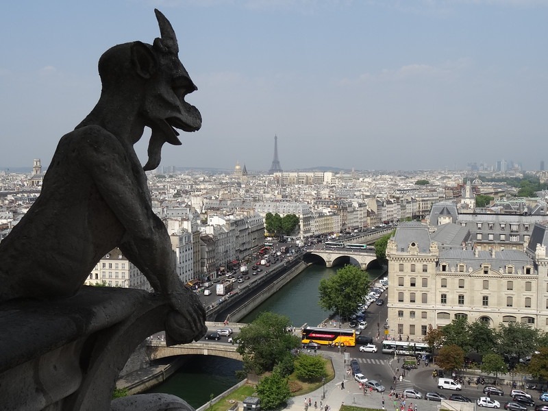 picture from the top of the stairs in Notre Dame Cathedral Paris France