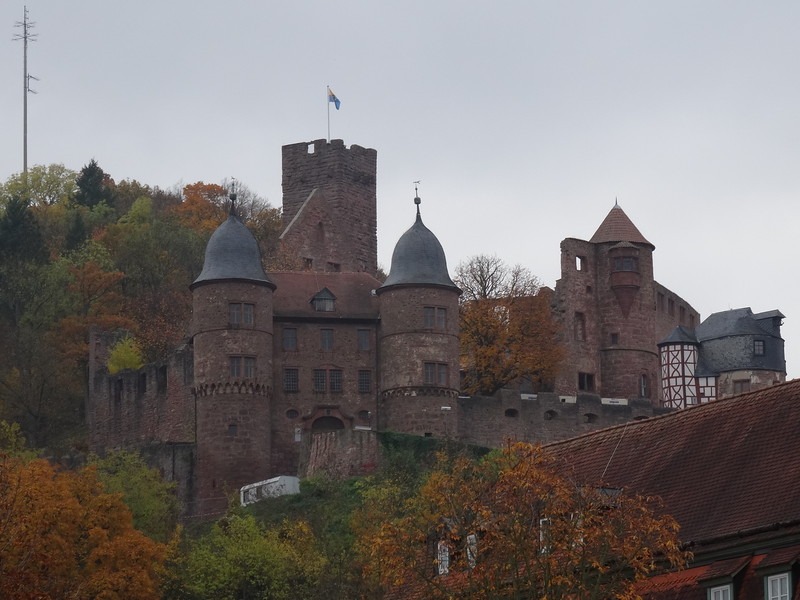 Wertheim castle river cruise tour