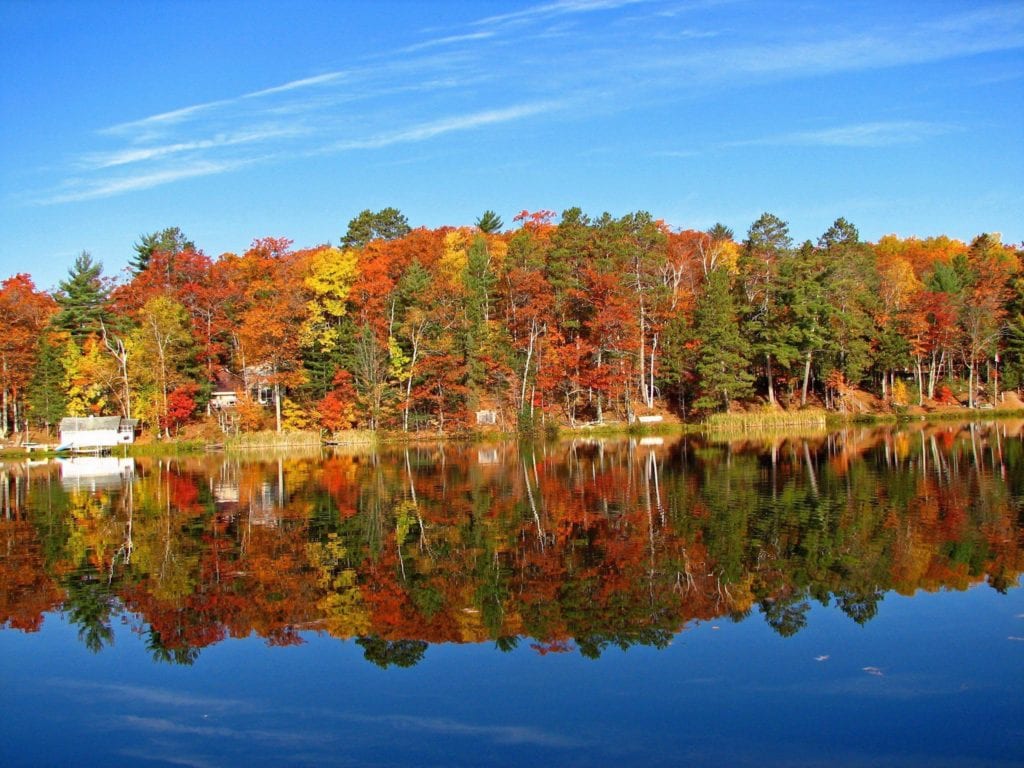 Fall colors on a ama river cruise in Germany