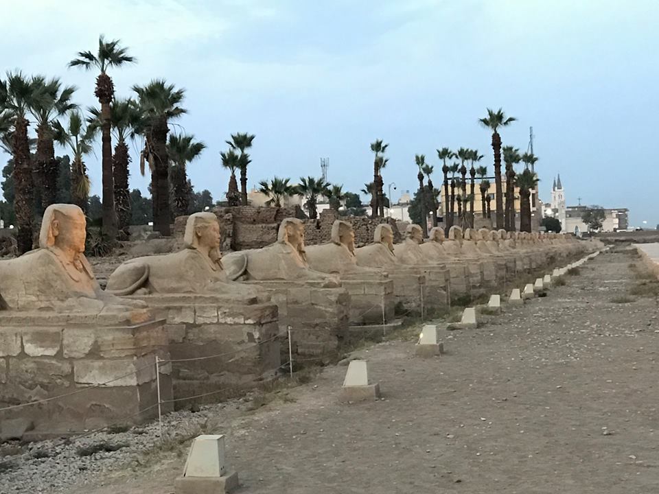 Avenue of Sphinx at Temple of Luxor
