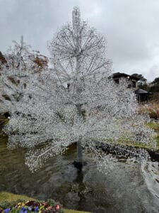 Glass Tree at the Hakone Glass Museum