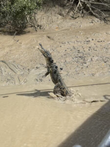 Jumping Crocodiles on the Adelaide River near Darwin, Australia