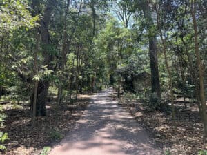 Hiking trails near Noosa Beach in Noosa on the Sunshine Coast of Australia during a port stop in Mooloolaba during a Bali to Sydney Regent Cruise