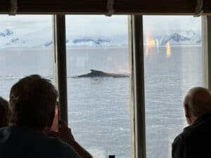 Antarctica cruise with tauck