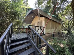 Sample of the Hotels on Tauck's Kenya & Tanzania & Rwanda Mountain Gorilla Trekking Tour