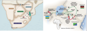 AMA Waterways Stars of South Africa and Tauck Mountain Gorilla Safari: Kenya, Tanzania & Rwanda